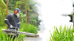 Best Mosquito Control  in Sunnyside, CA